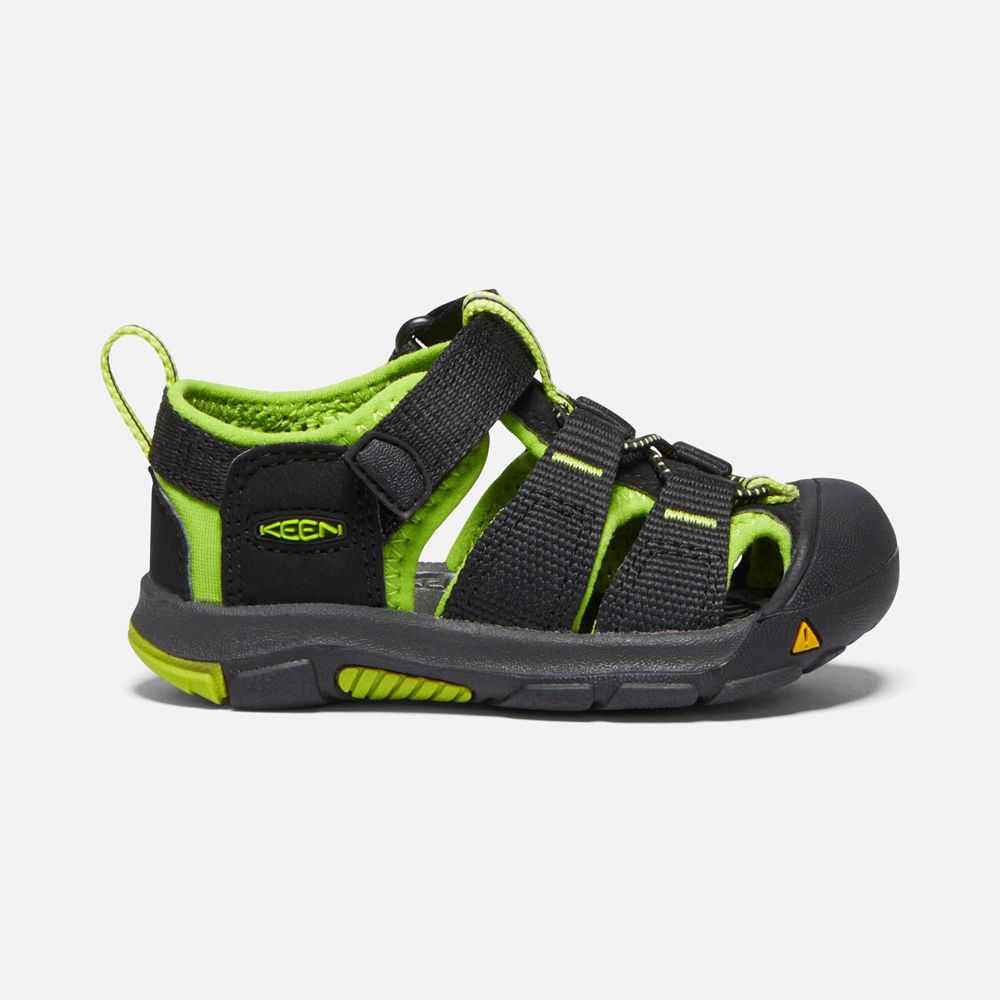 Sandalias Keen Mexico Negros/Verdes - Niños Newport H2 - CM5620347